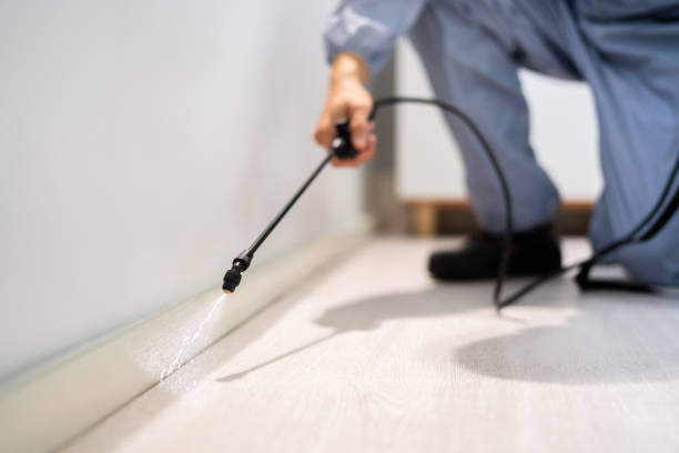 Licensed Termite Control service in Bradley County County, AR - Nex Pest Control