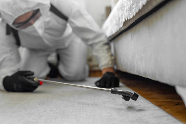 Professional Termite Control technician working in Bradley County County, AR